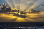 DSC_8998.png