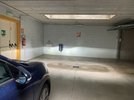 IMG_0006.jpeg