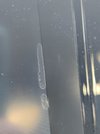 IMG_20240404_190803.jpg