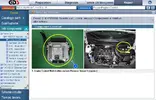 info.webp