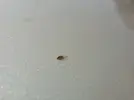 DSCN1811.webp