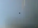 20161112_154708.webp