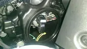 IMAG0231.webp