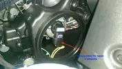 IMAG0231.webp
