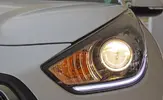 Niro alogena.webp