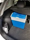 20170401_101121.webp