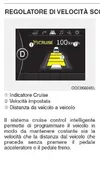 Cattura.webp