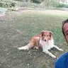 Gazzo90