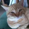 Robertoleone