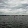 Oktopus_58