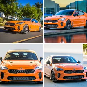 Kia Stinger Federation