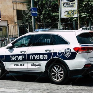 Kia Sorento Police