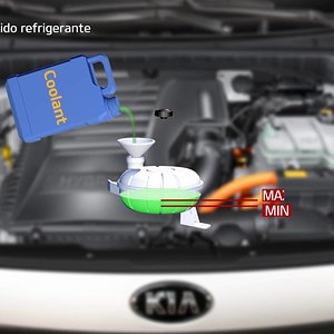 Niro - Rabboccare il liquido refrigerante (For EU)
