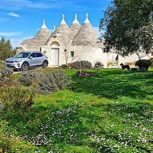 KiaStonicTrulli1