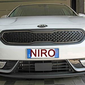 Nirofronte