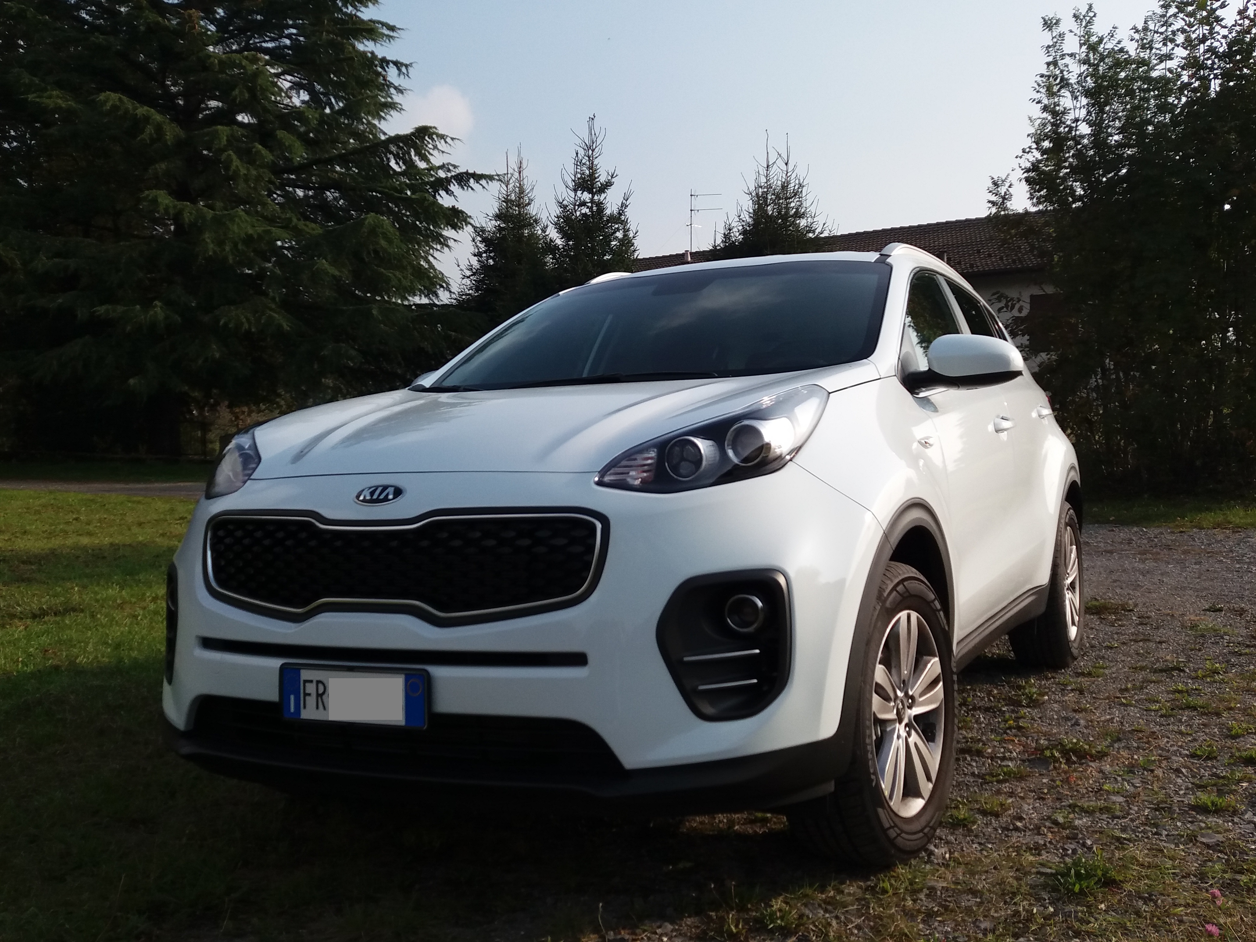 SPORTAGE 01