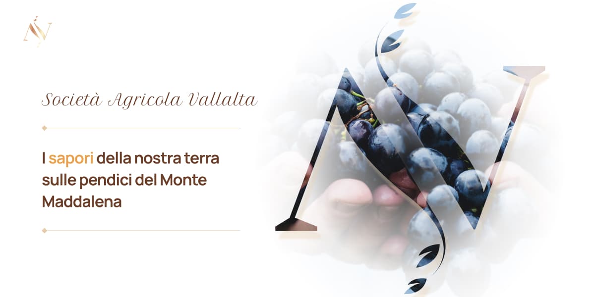 agriturismovallalta.it