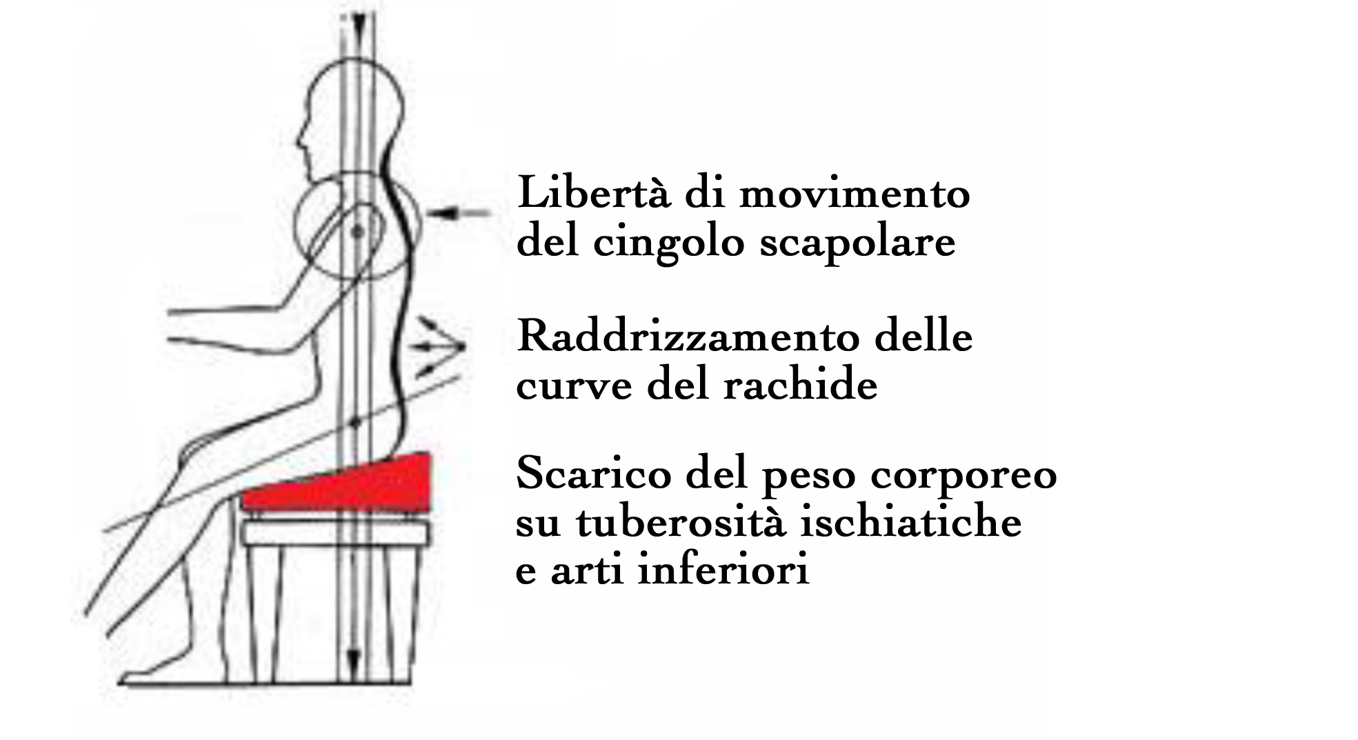 sedutaconcuscino.jpg