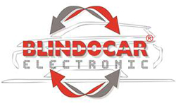 www.blindocar.it