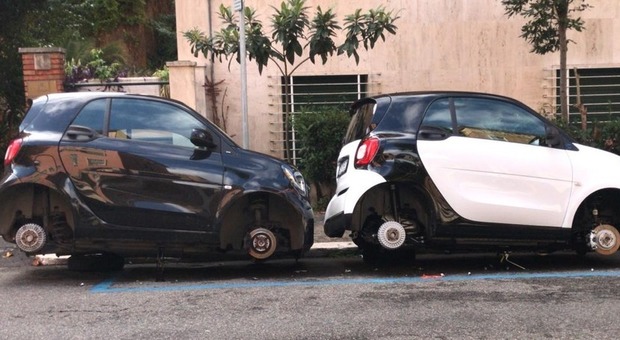 4847478_smart_romanord.jpg